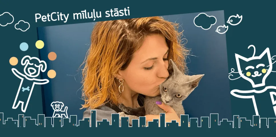 PetCity mīluļu stāsti: Frenks, Cūca un Labi