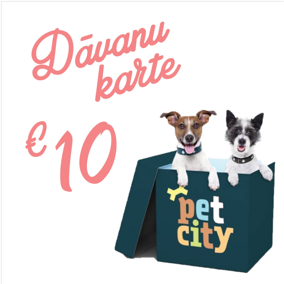 PetCity dāvanu karte, 10 eur - Produkta attēls