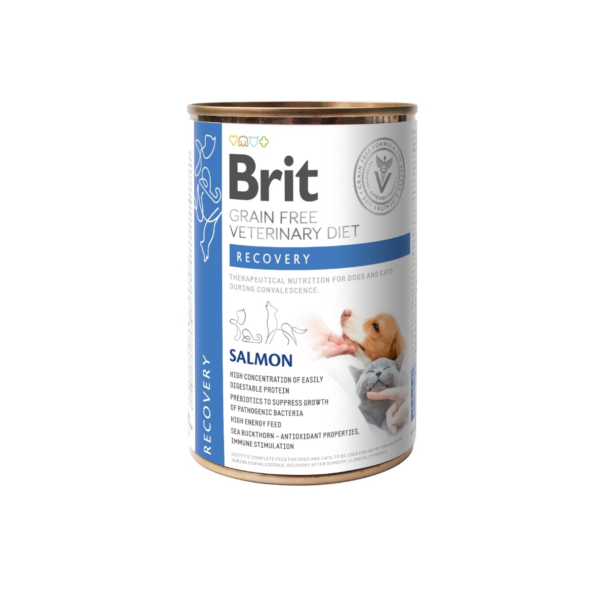 BRIT GF Recovery mitrā barība suņiem/kaķiem, lasis, 400 g - Produkta attēls