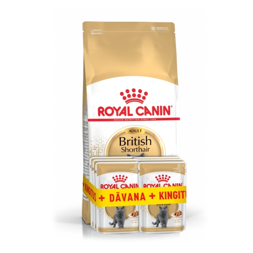 ROYAL CANIN barības komplekts Britu šķirnes kaķiem, 2 kg + 6 x 85 g