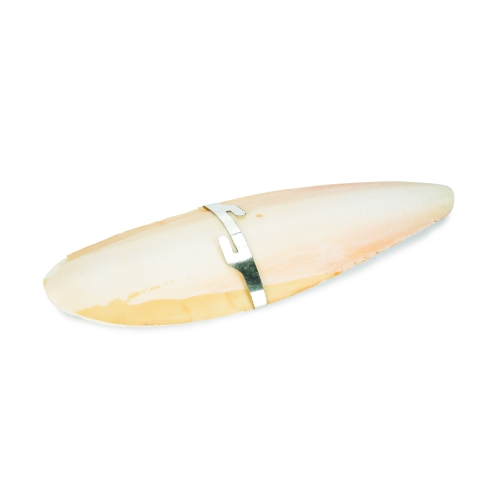 BEEZTEES Cuttlefish Bone minerālakmens putniem, 20 cm