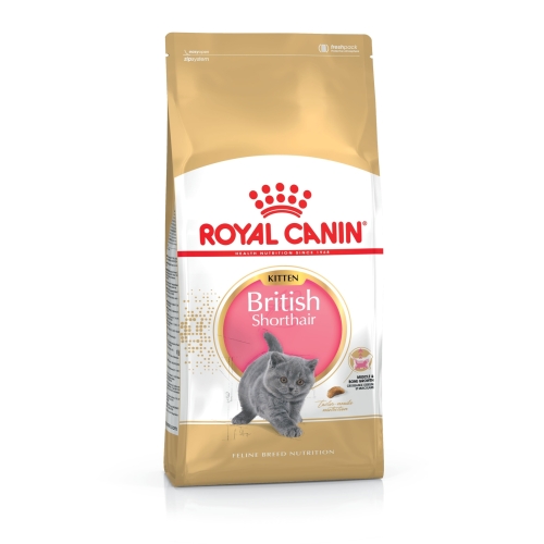 ROYAL CANIN sausā barība Britu īsspalvainās šķirnes kaķēniem, 2kg