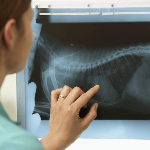 Digitālā rentgenogrāfija