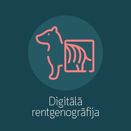 Digitālais rentgens