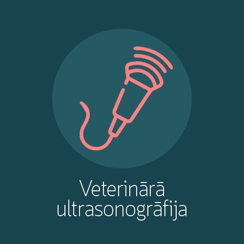 Veterinārā ultrasonogrāfija